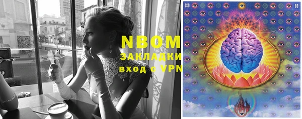 амф Верея