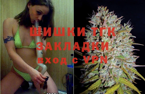 амф Верея