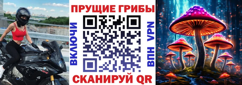 наркошоп  Кировград  блэк спрут ССЫЛКА  Псилоцибиновые грибы GOLDEN TEACHER 
